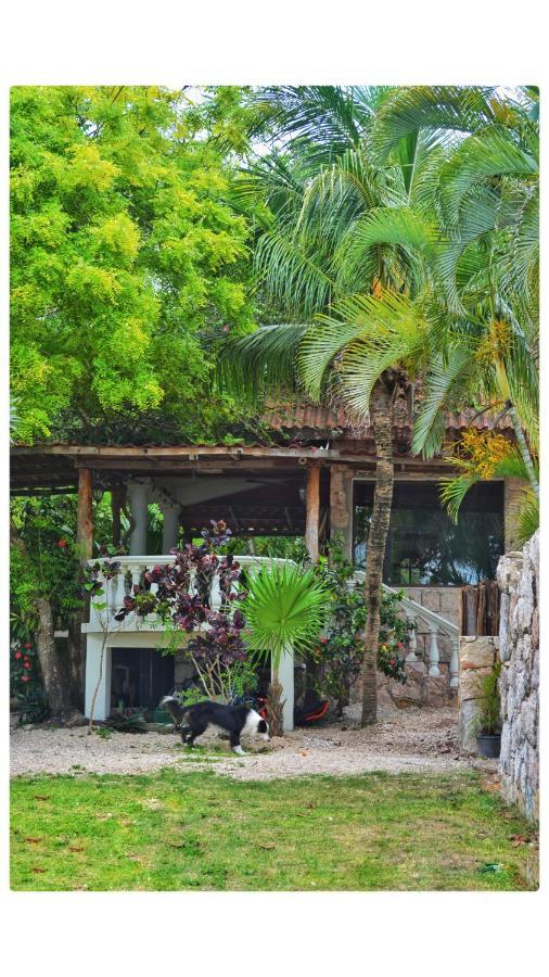 Bed and breakfast Tortuga Bacalar Extérieur photo
