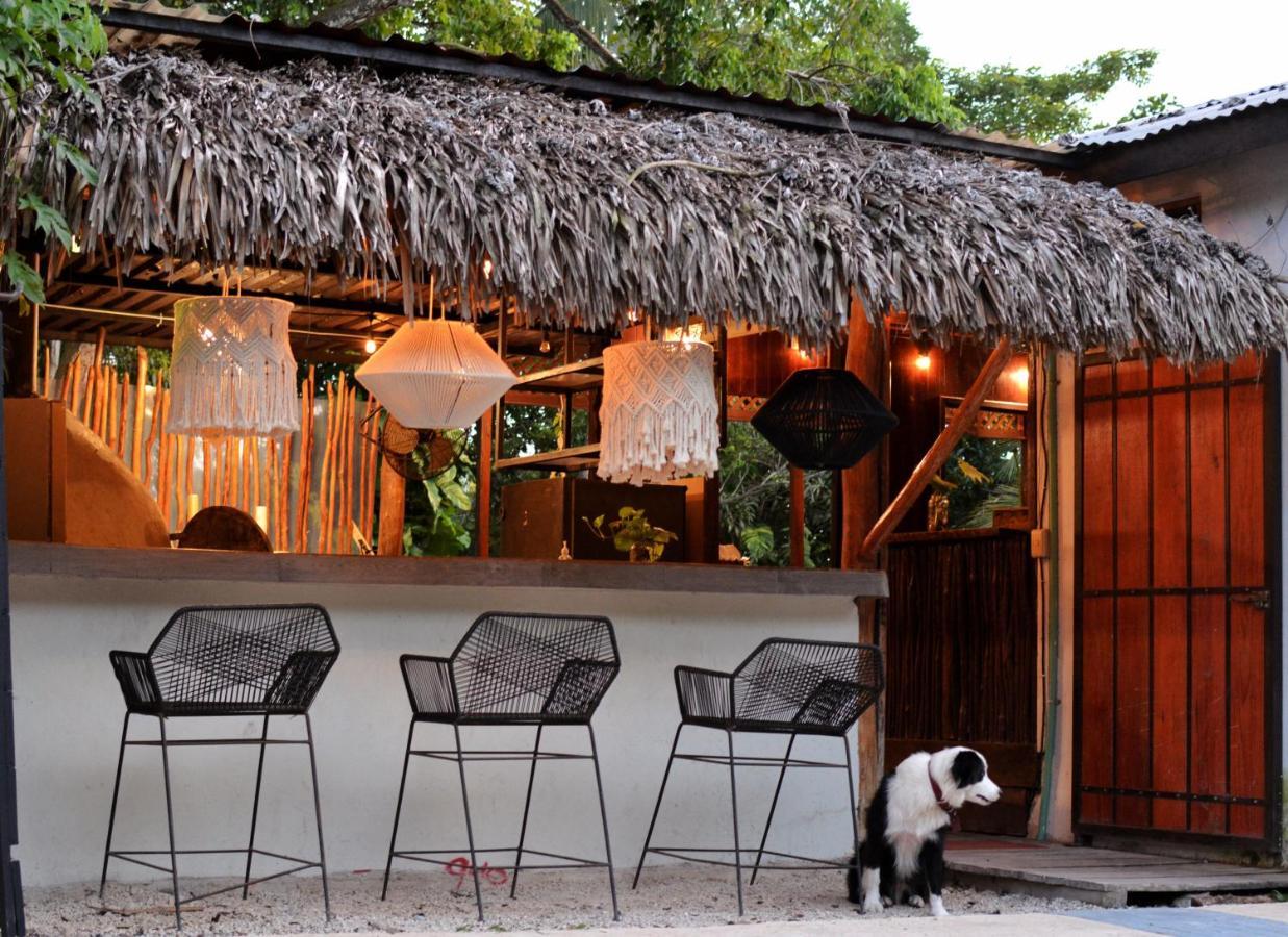 Bed and breakfast Tortuga Bacalar Extérieur photo