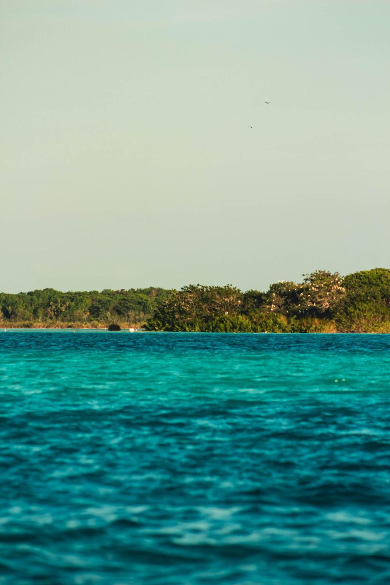Bed and breakfast Tortuga Bacalar Extérieur photo
