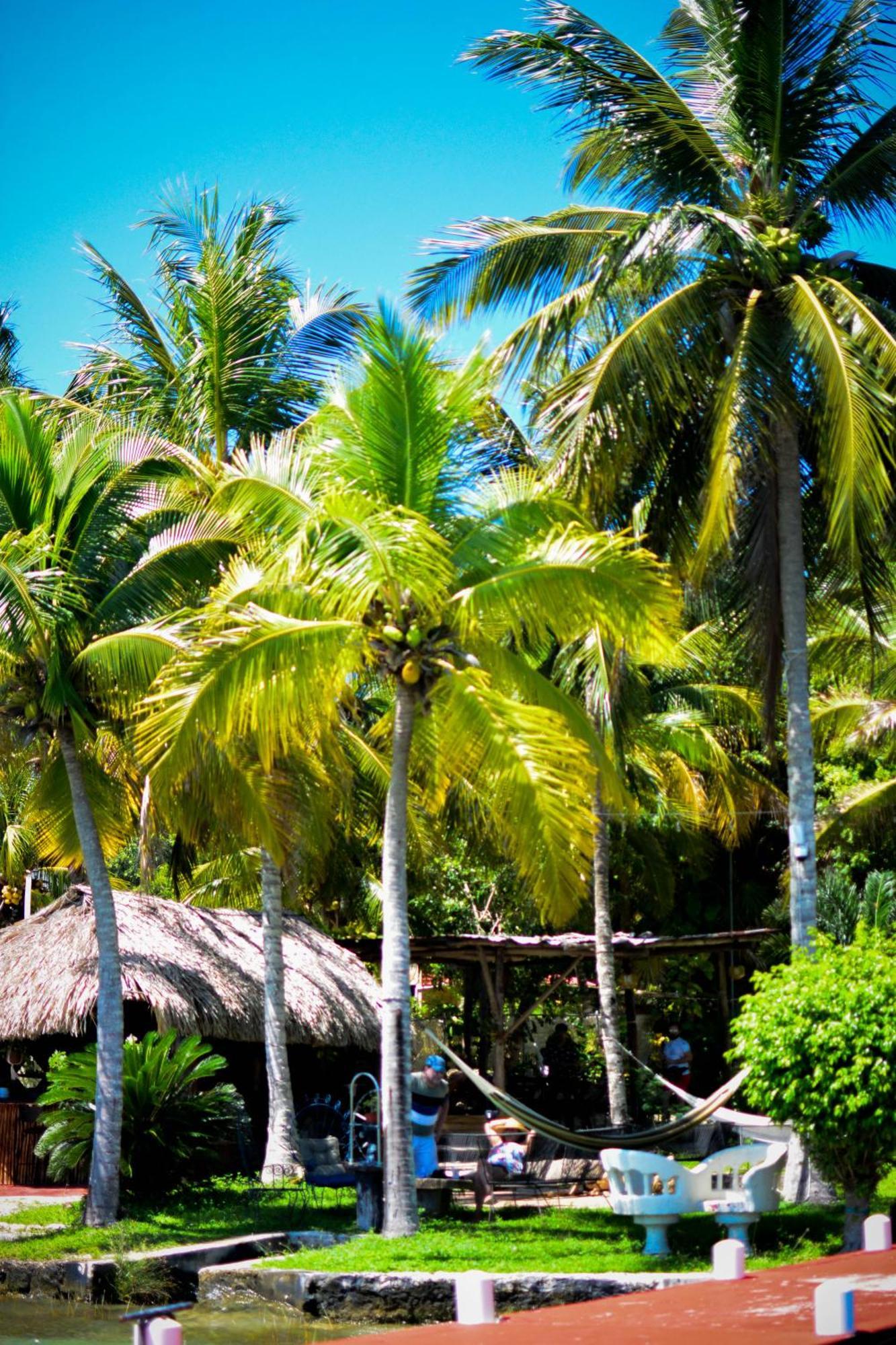 Bed and breakfast Tortuga Bacalar Extérieur photo